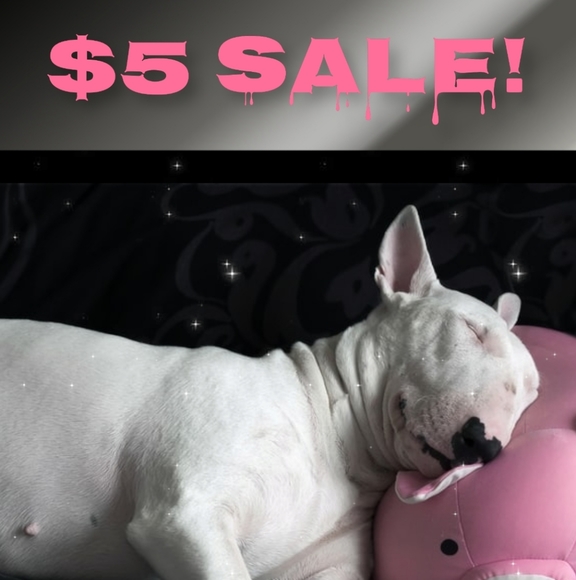 Old Navy Jackets & Blazers - $5 SALE